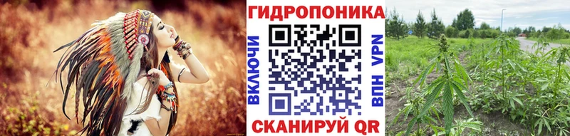 Бошки Шишки OG Kush Саки